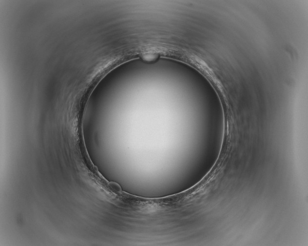 X0000110900249200906181328