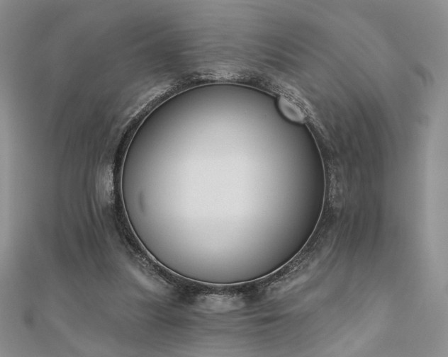 X0000110900251200906181328