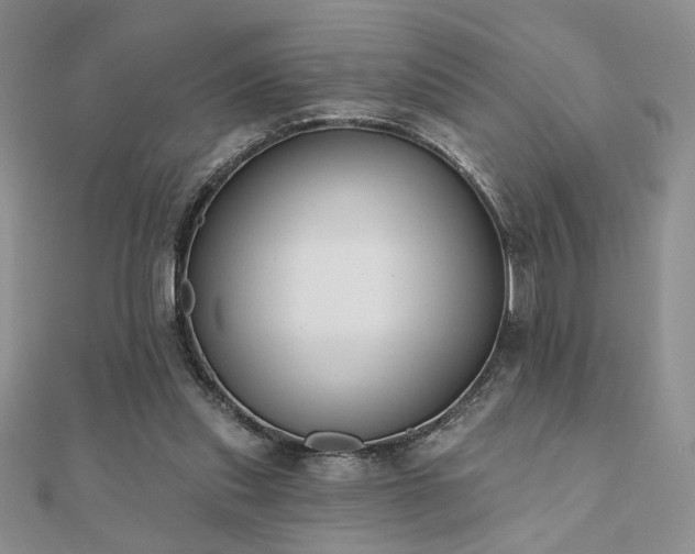 X0000110900253200906181328