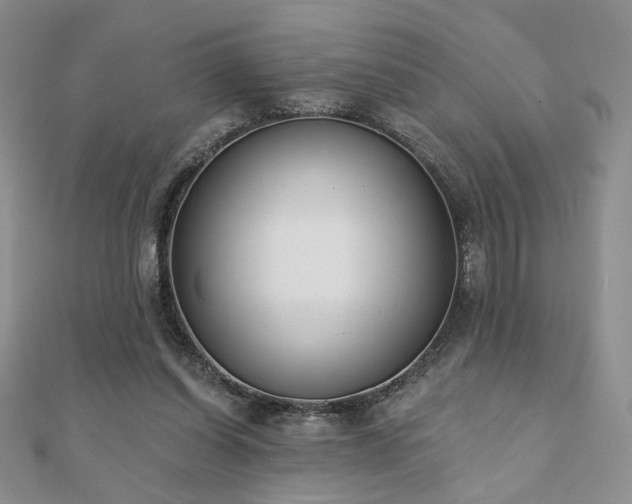 X0000110900254200906181328