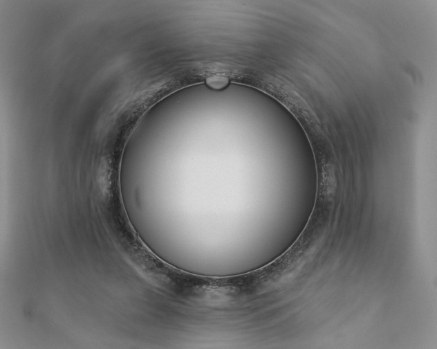 X0000110900255200906181328