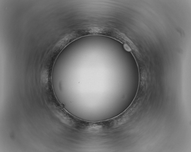 X0000110900257200906181328