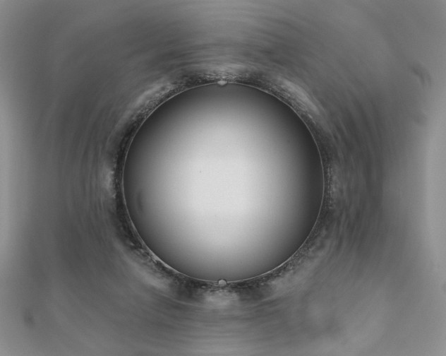 X0000110900258200906181328