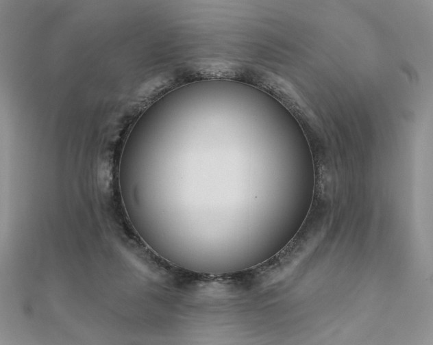 X0000110900259200906181328