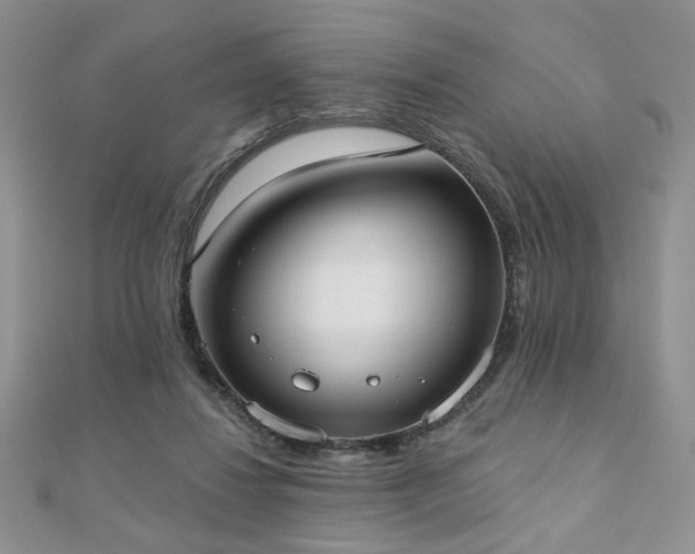 X0000110900260200906181328