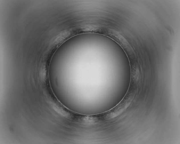 X0000110900261200906181328