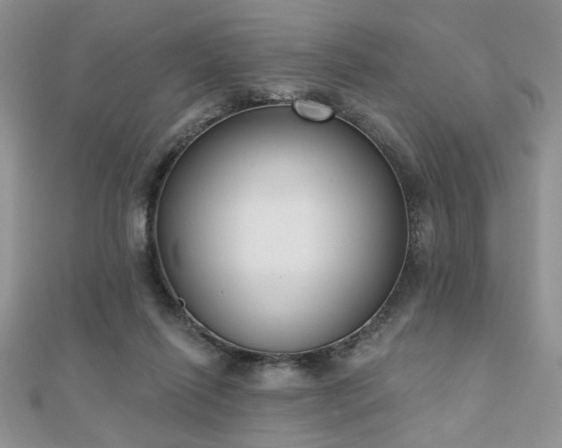 X0000110900262200906181328