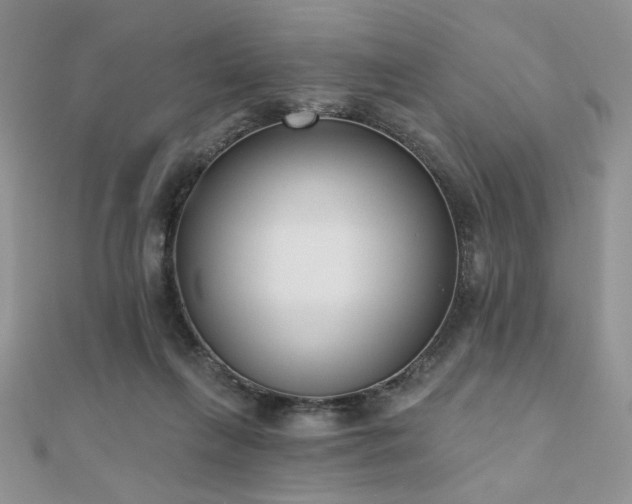 X0000110900263200906181328