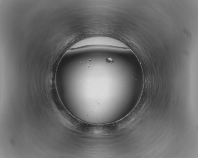 X0000110900264200906181328