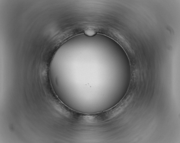 X0000110900265200906181328