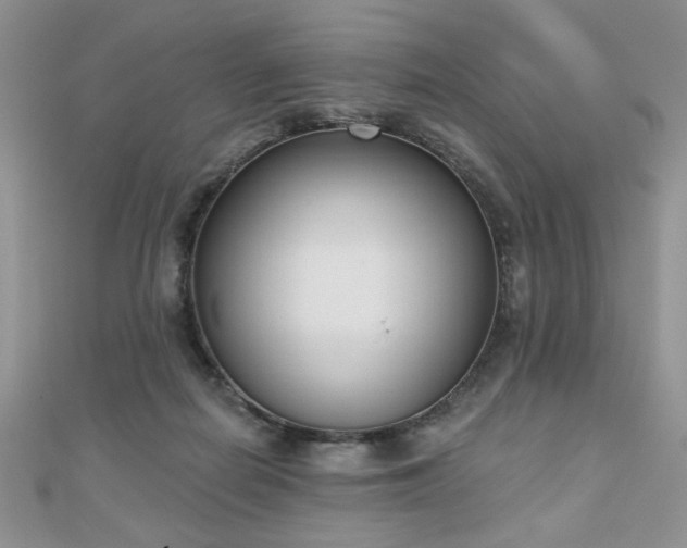 X0000110900266200906181328