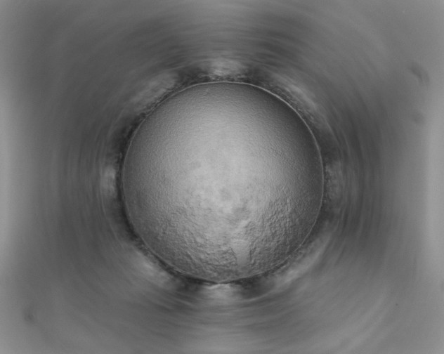 X0000110900269200906181328