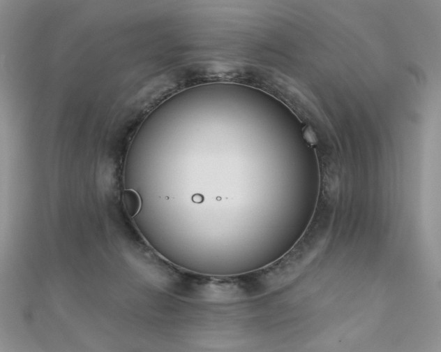 X0000110900270200906181328