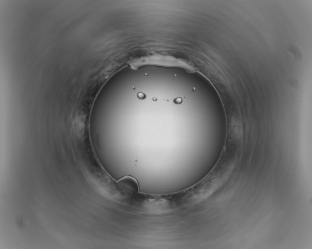 X0000110900271200906181328
