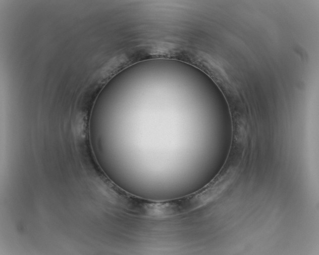 X0000110900273200906181328