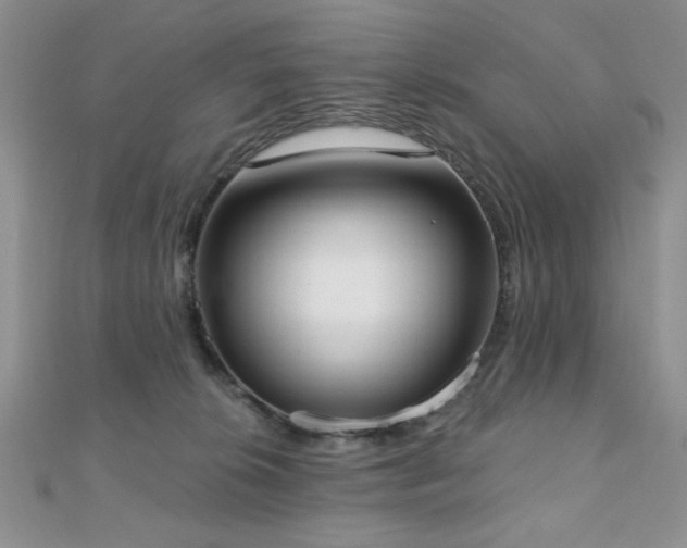 X0000110900276200906181328