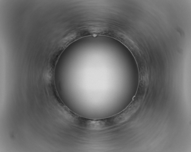 X0000110900277200906181328