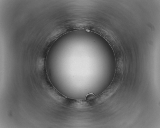 X0000110900278200906181328