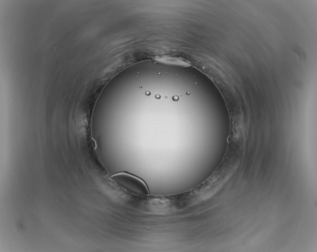 X0000110900279200906181328