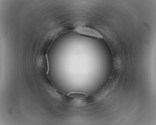 X0000110900280200906181328
