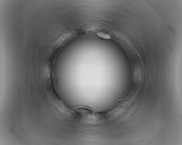 X0000110900282200906181329