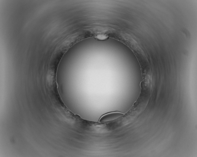 X0000110900283200906181329