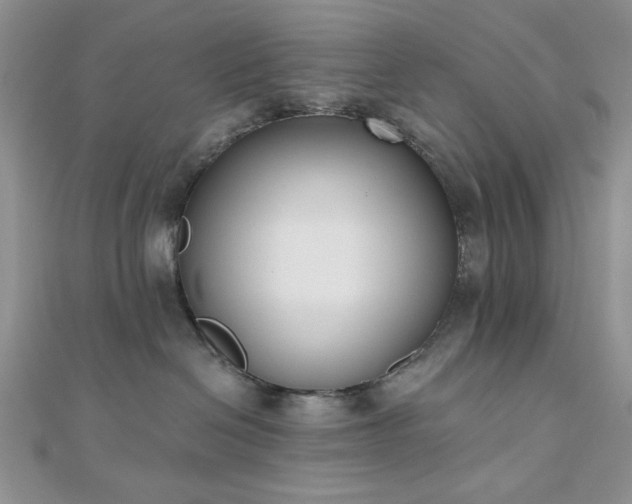 X0000110900286200906181329