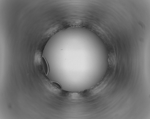 X0000110900287200906181329