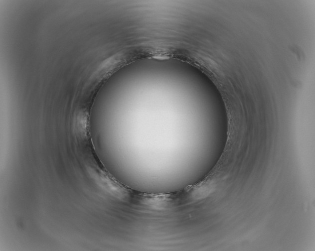 X0000110900288200906181329