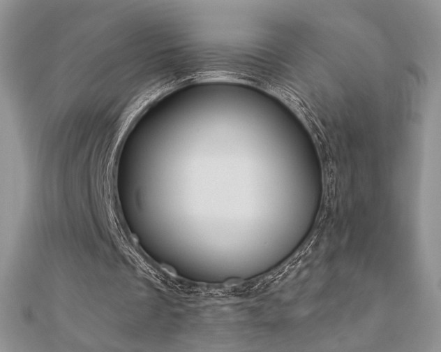 X0000110900289200906181328