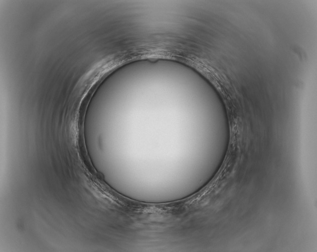 X0000110900290200906181328