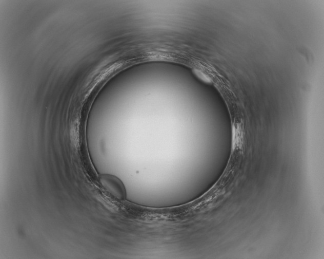 X0000110900291200906181328