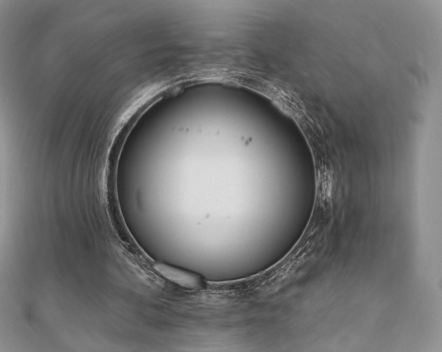 X0000110900292200906181328
