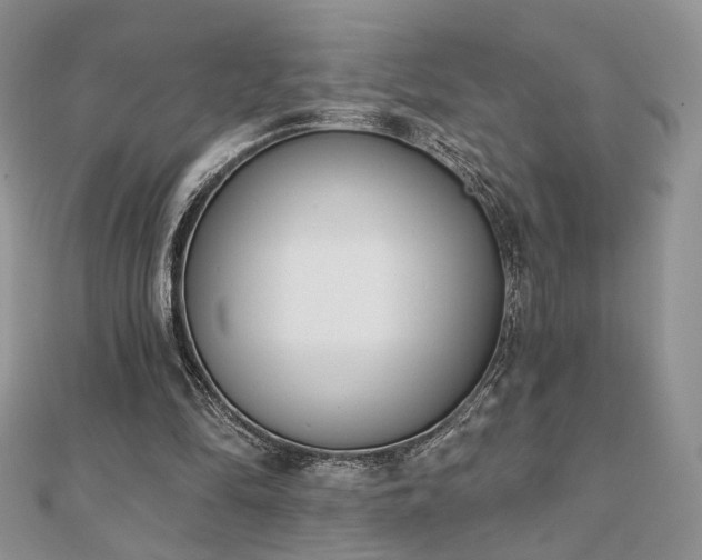 X0000110900294200906181328