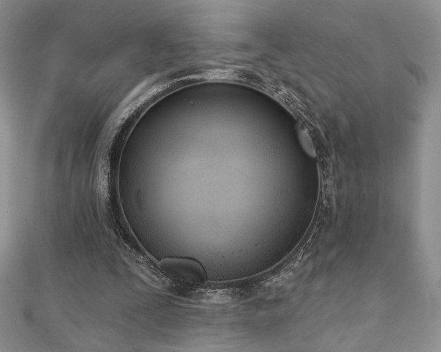 X0000110900295200906181328