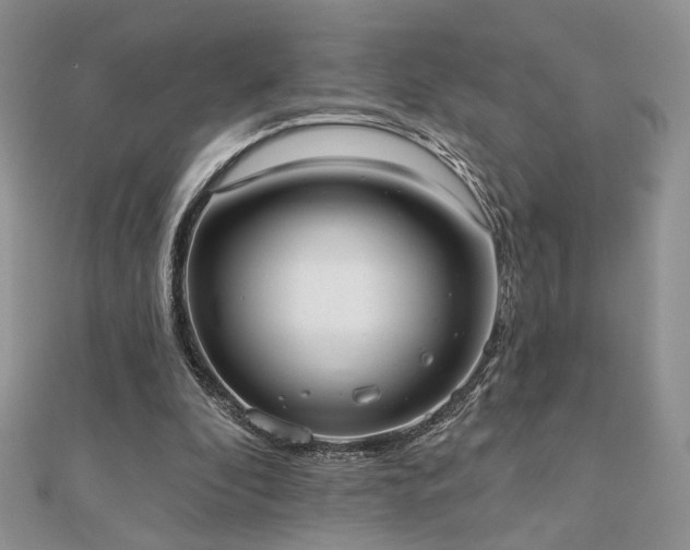 X0000110900296200906181328