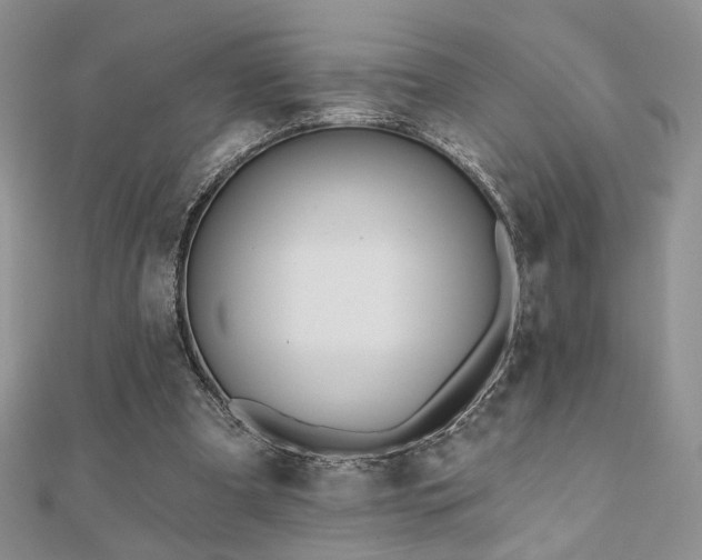 X0000110900297200906181328