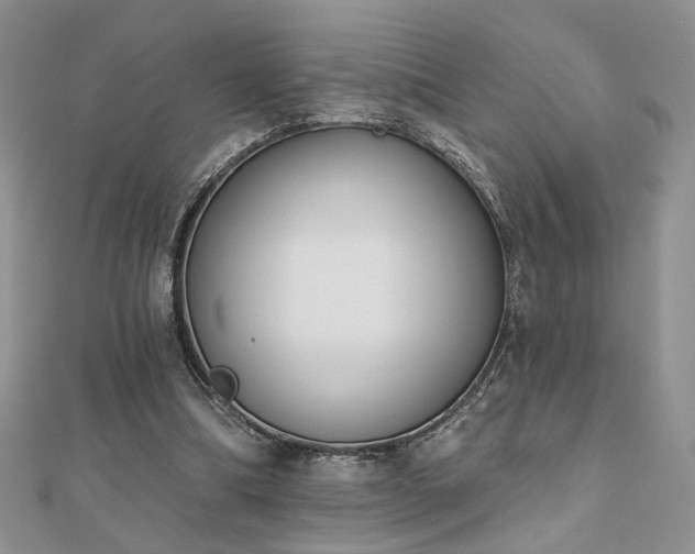 X0000110900298200906181328