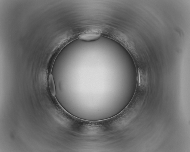 X0000110900300200906181328