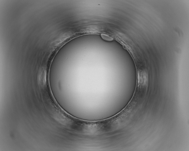 X0000110900301200906181328