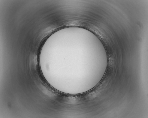 X0000110900302200906181328