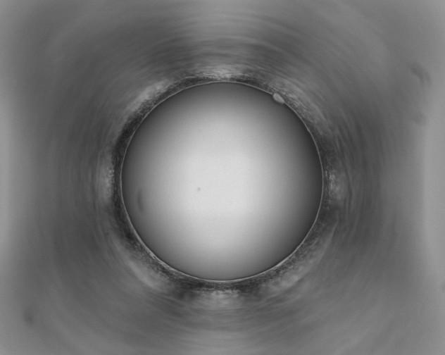 X0000110900304200906181328