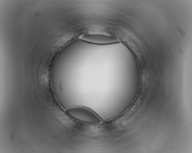 X0000110900305200906181328