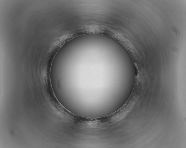 X0000110900306200906181328