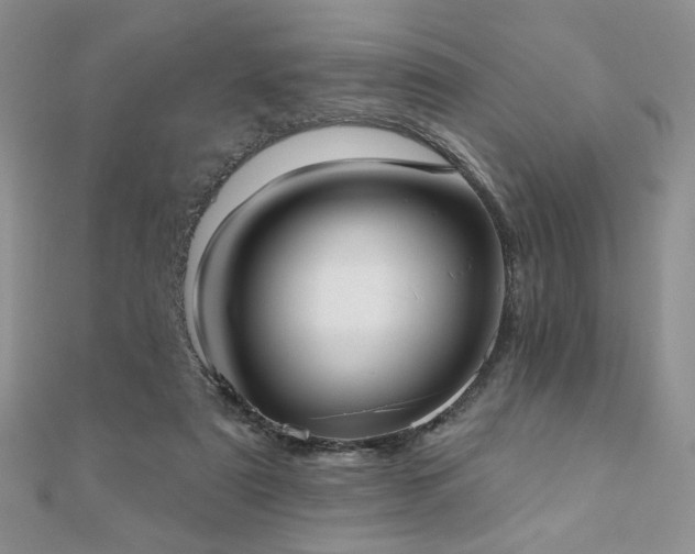 X0000110900307200906181328
