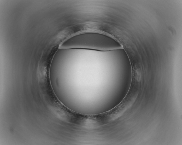 X0000110900308200906181328