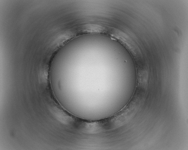 X0000110900309200906181328