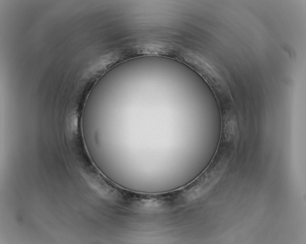 X0000110900310200906181328