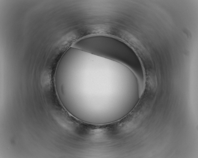 X0000110900312200906181328