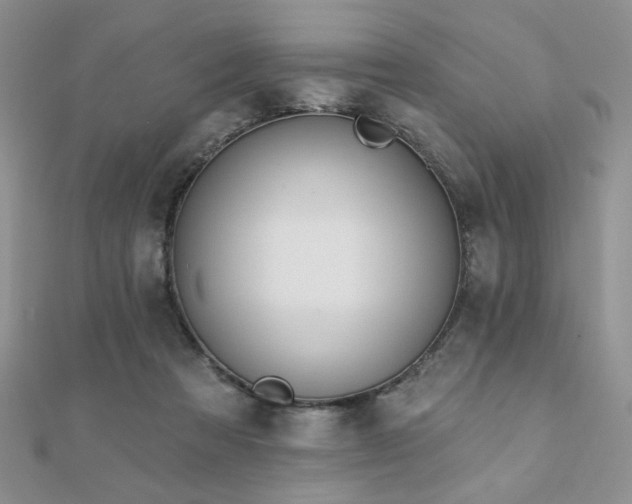 X0000110900313200906181328